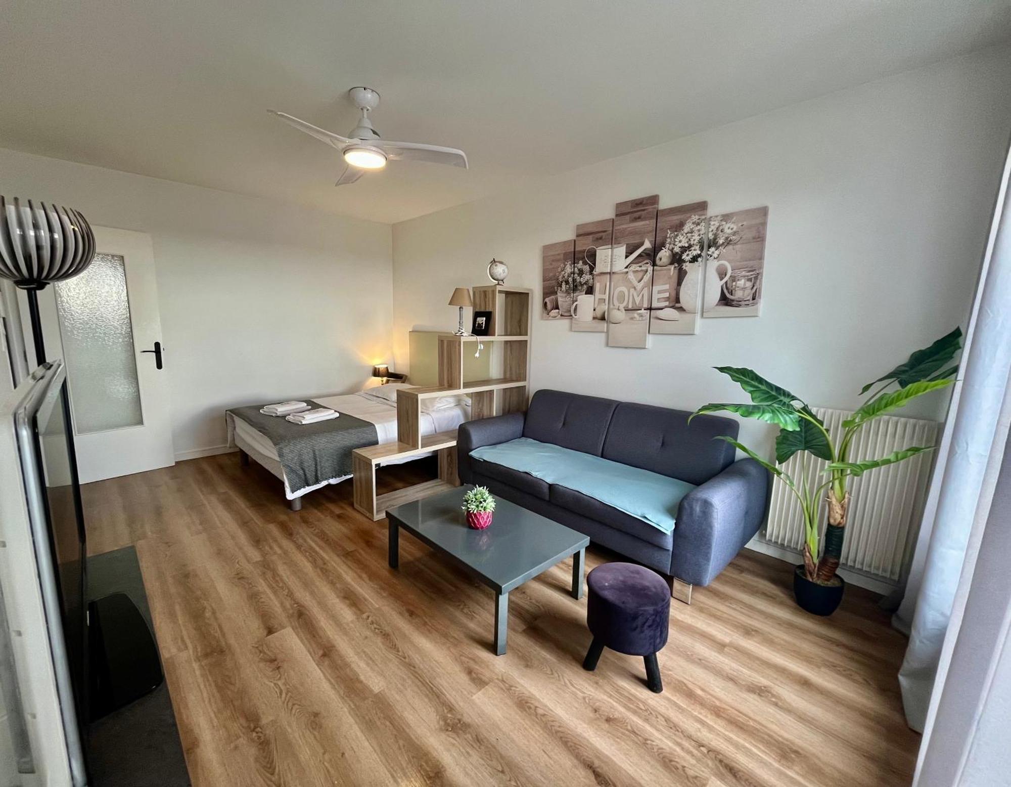 Appartement Rue Condorcet Parking Prive- Dabnb 리모주 외부 사진
